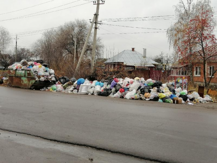 «Процесс налаживается, нужно подождать»: еще раз о вывозе мусора с улиц Борисоглебска