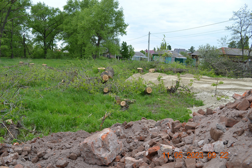  На ул. Парковой г. Борисоглебска вырубят  35 тополей