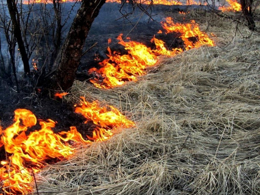 Спасатели объявили открытым сезон ландшафтных пожаров в Воронежской области