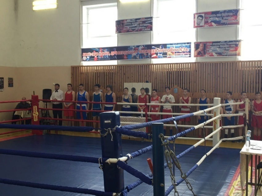На открытый турнир по боксу в Грибановку съехались 114 боксеров из пяти  областей