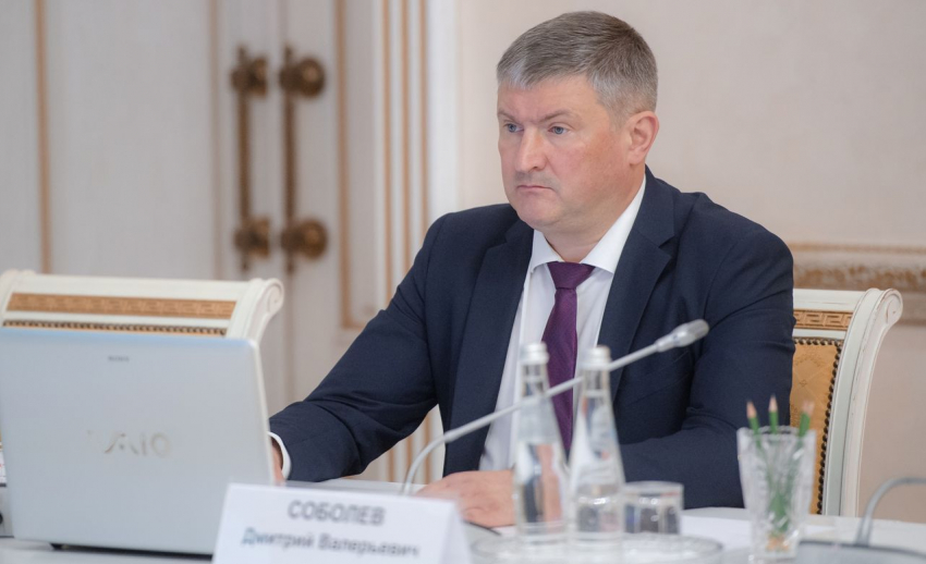 Глава департамента спорта Воронежской области ушел в отставку 