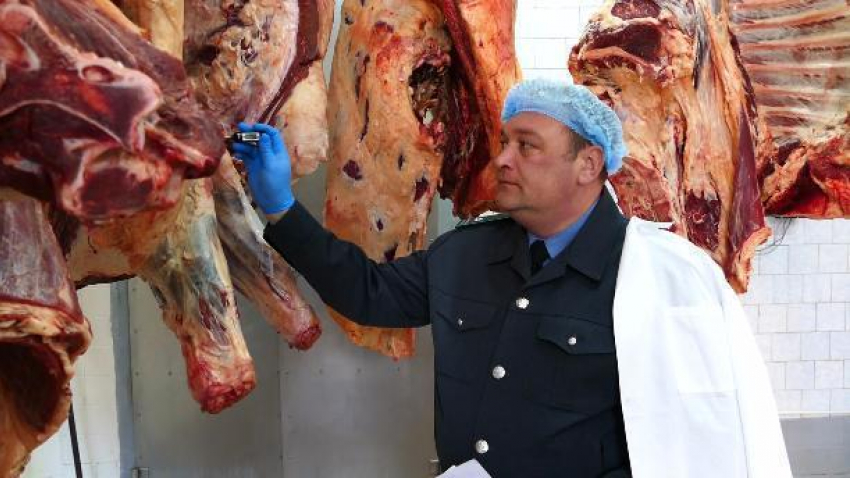 В Борисоглебске сотрудники Россельхознадзора проверили партию мяса из Белоруссии