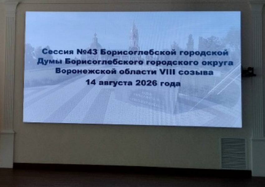Елена Агаева досрочно сложила полномочия Главы Борисоглебского округа и председателя Думы