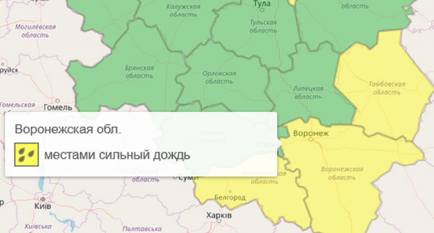 Желтый уровень опасности объявили в Воронежской области из-за дождей