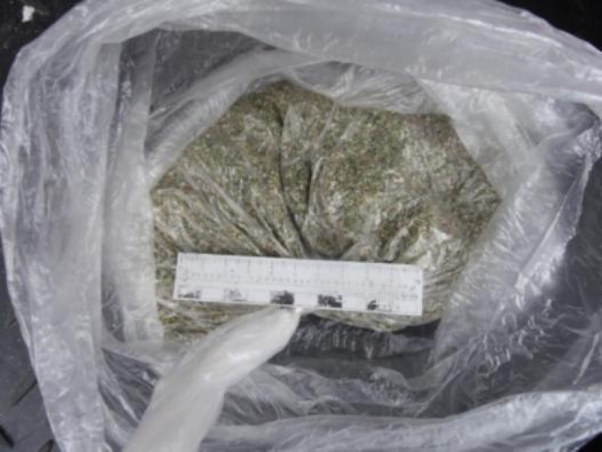 Полтора килограмма марихуаны изъяли полицейские у жителя Борисоглебского района