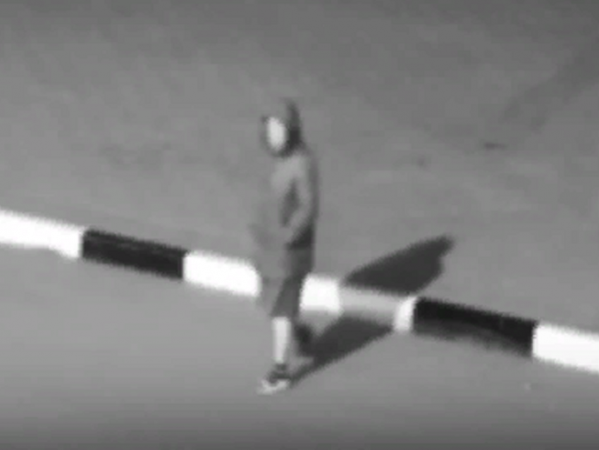 Кража можжевельника в Театральном парке Борисоглебска попала на видео