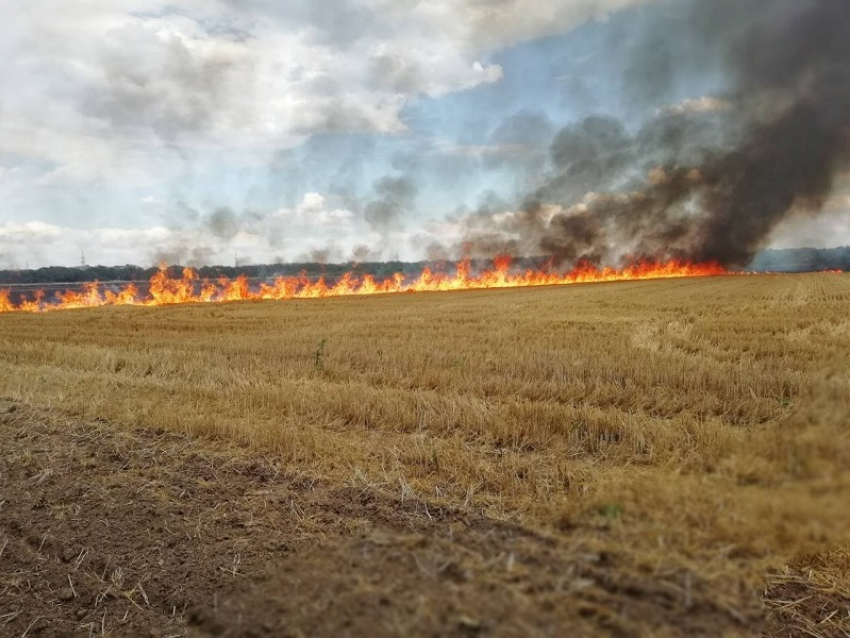 В Воронежской области чрезвычайный уровень пожароопасности сохранится до конца сентября