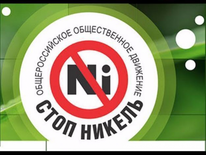 Кандидаты в Общественную палату Борисоглебска от движения «Стоп, никель» не прошли голосование в городской Думе