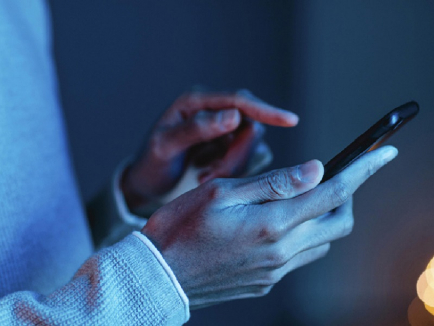 Сообщить о закладчиках через чат-бот смогут жители Воронежской области