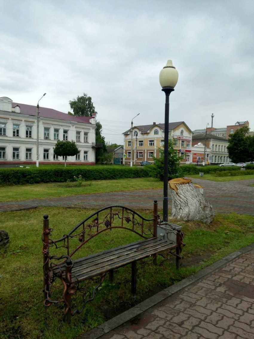 Одно из самых популярных мест для фото молодоженов в Борисоглебске опустело.