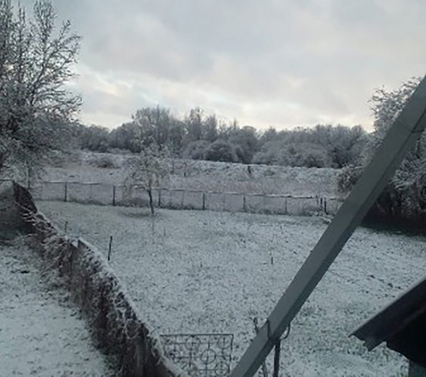  Луганск, Питер, Ростов и  даже Краснодар накрыло снегом: ждем и в Воронежской области? 