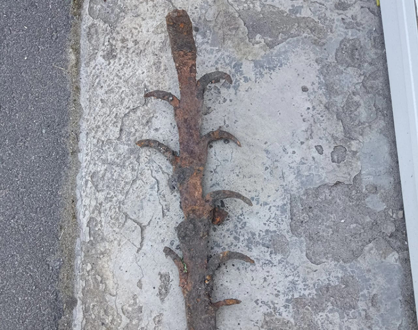 В районе Борисоглебска парка нашли кованый объект из позапрошлого века