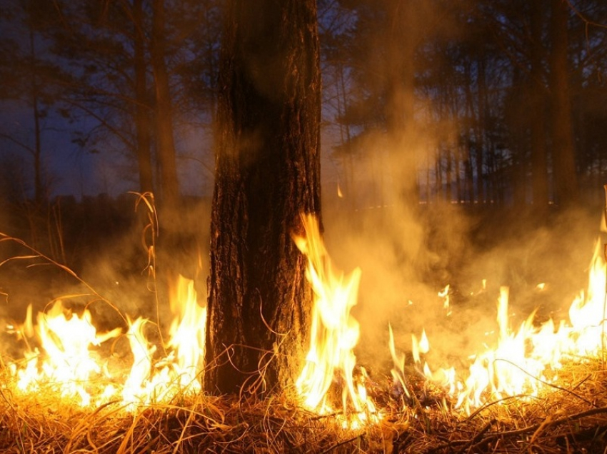 Высокую пожарную опасность объявили в восточных районах Воронежской области