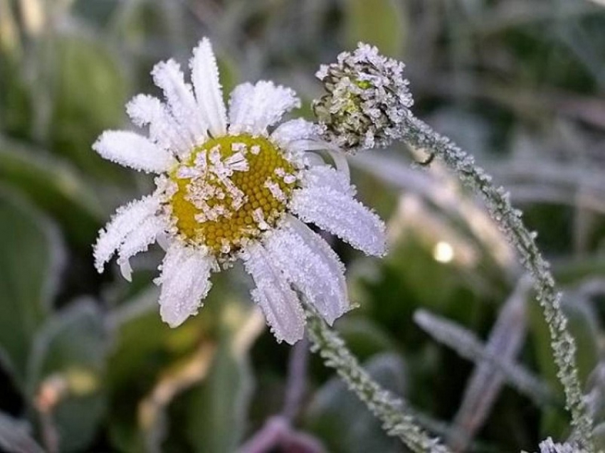 Штормовое предупреждение из-за минусовой температуры объявили в Воронежской области