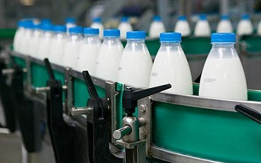 В Борисоглебске возродят молочный завод