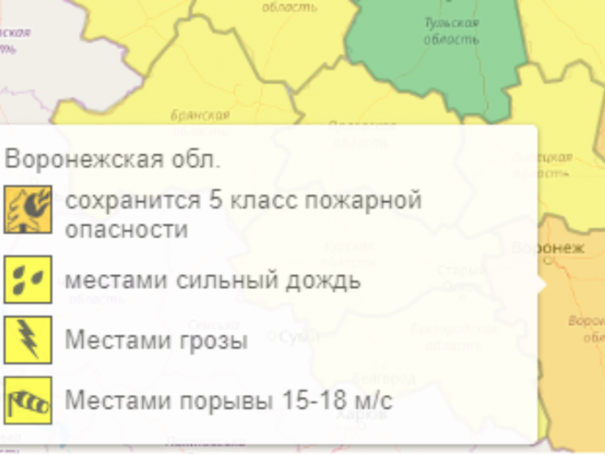 Оранжевый уровень опасности снова установился в Воронежской области из-за комплекса погодных условий