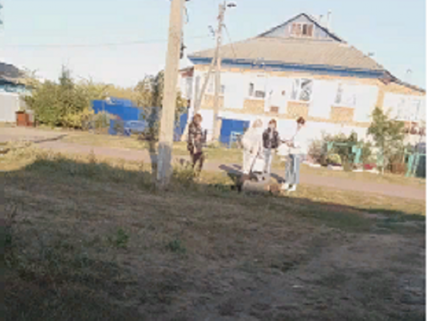 Борьбу за явку в Грибановке сняли на видео