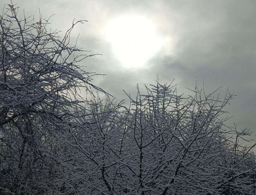 Суровый февраль пообещали жителям Воронежской области синоптики