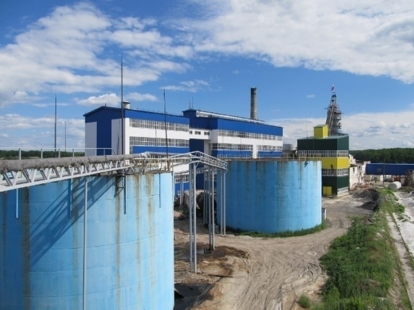 Прокуратура Воронежской области начала проверку  деятельности Грибановского сахарного завода
