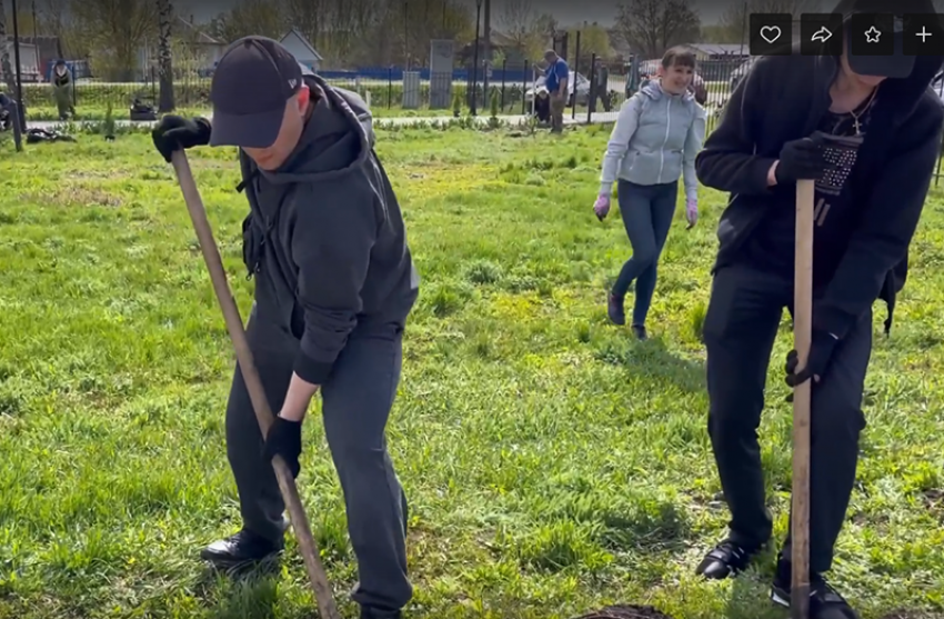 Администрация Терновского района дружно вышла на работу по озеленению сквера