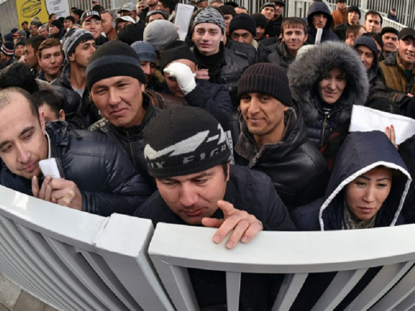 Предприятиям Воронежской области запретят использовать труд мигрантов