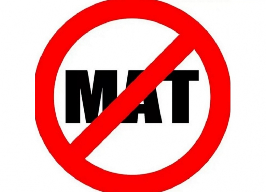 Штраф до 100 тысяч рублей грозит россиянам за мат в интернете 