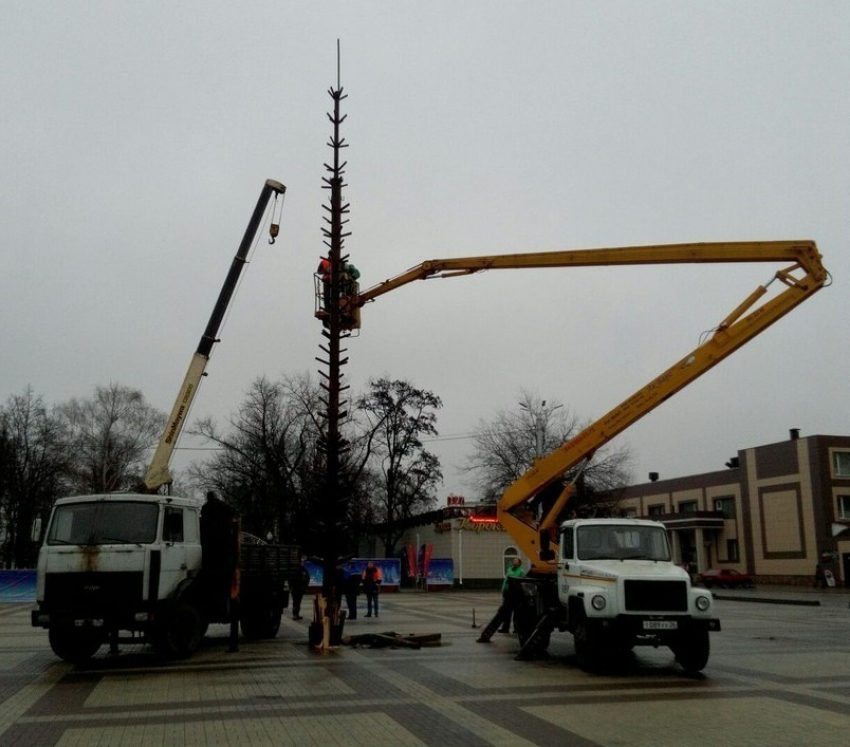 В Борисоглебске начали установку главной новогодней елки