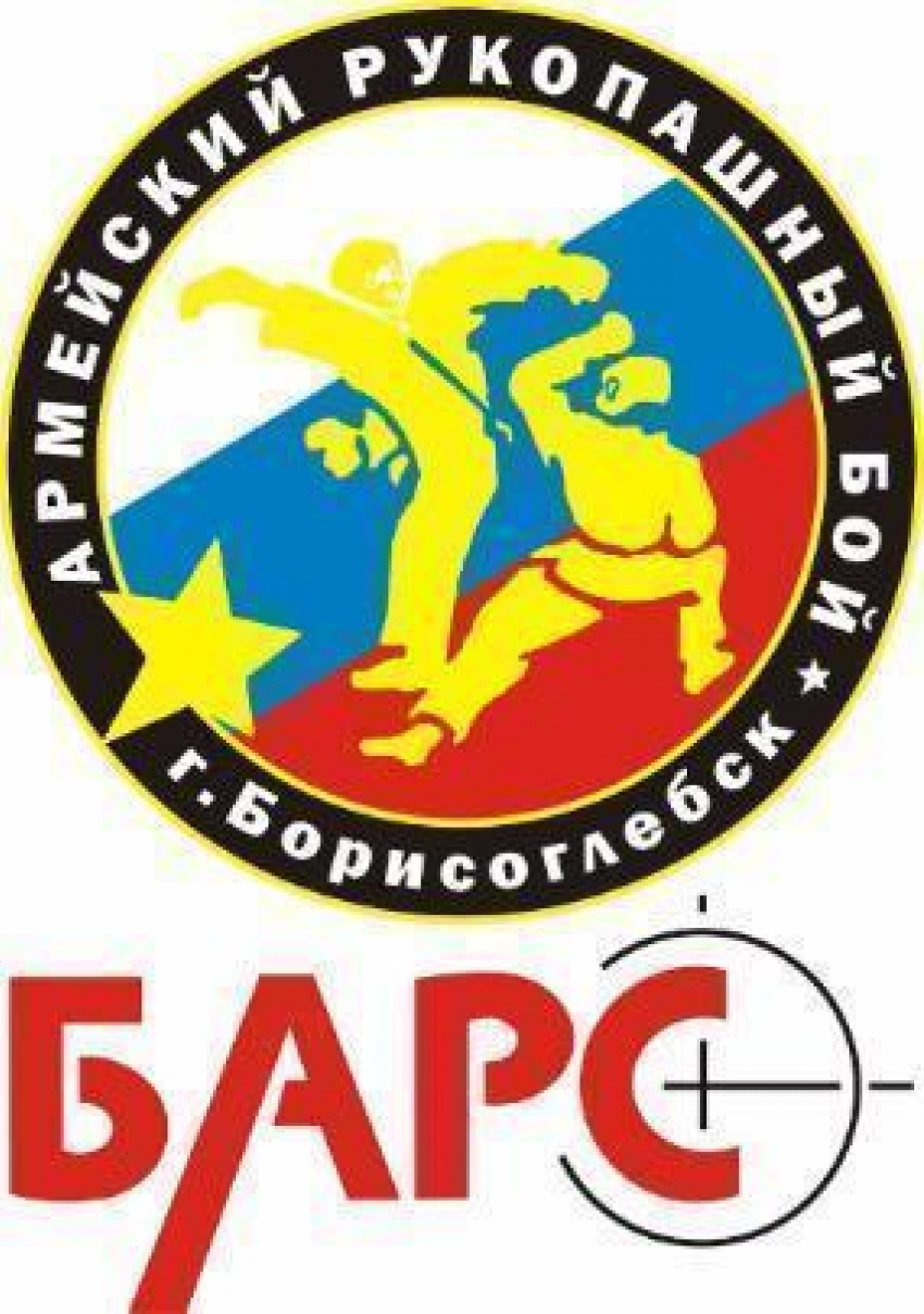 Борисоглебские «барсы» заняли 3-е командное место на Всероссийском турнире