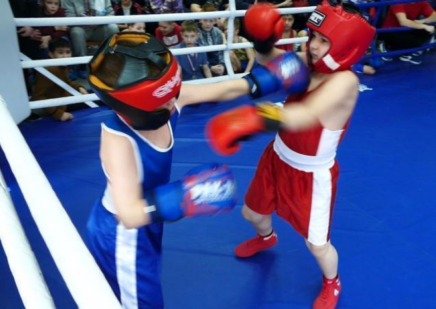 "Первый бой - он трудный самый": юные боксеры Борисоглебска встретились в ринге с соперниками из Волгоградской области