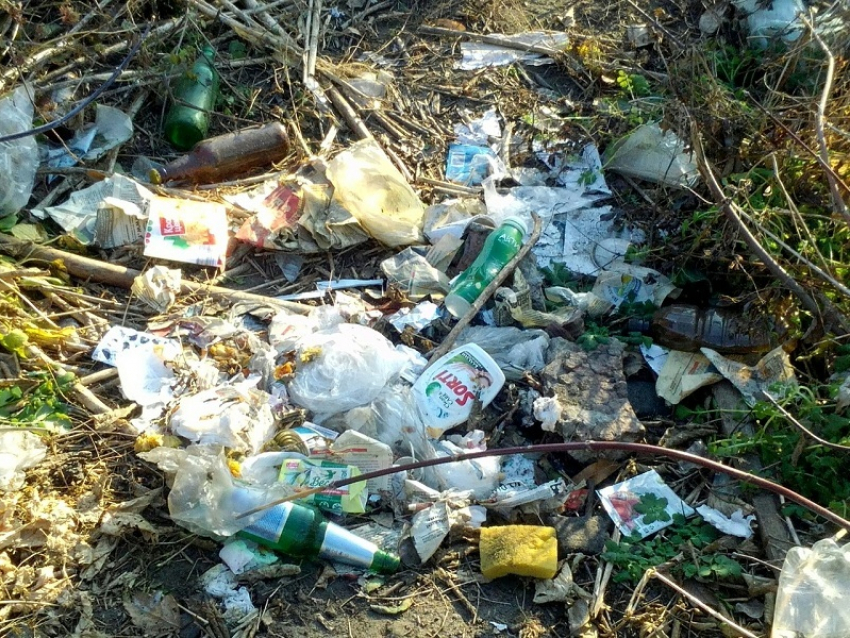 В Борисоглебске местные жители превратили территорию бывшего КВД в мусорную свалку