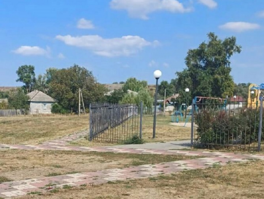 Неадеквата, нападавшего на прохожих с битой, осудят в Грибановском районе 