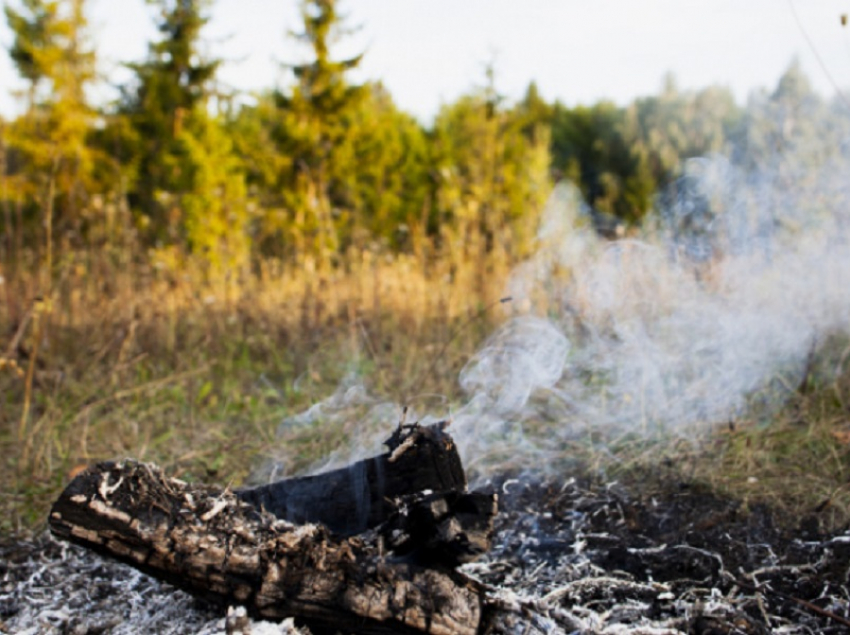 В Борисоглебске и соседних районах установился V класс пожарной опасности