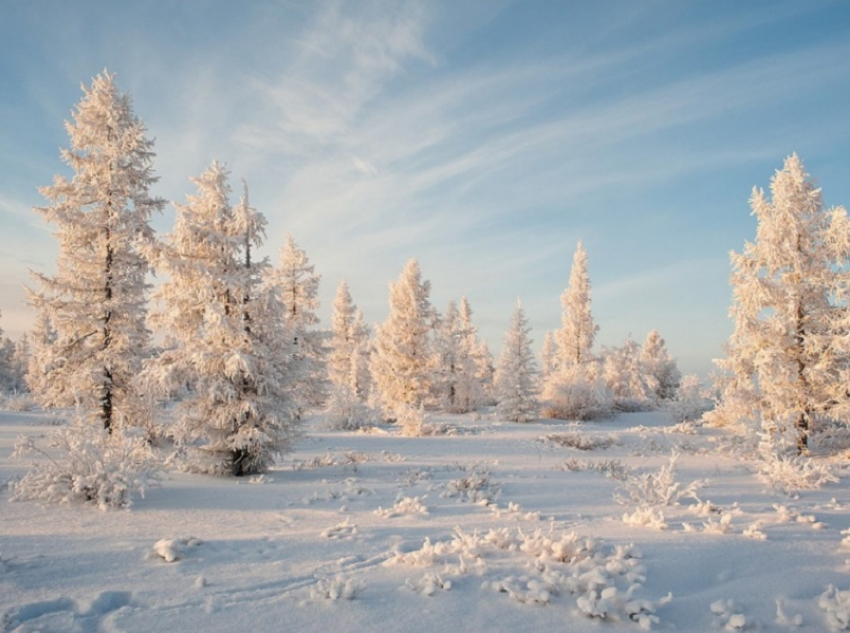 Стало известно, какая погода ожидается в декабре в Воронежской области