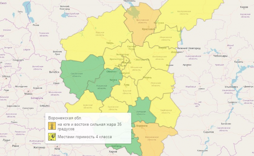 Уровень опасности повысили до оранжевого из-за погоды в Воронежской области