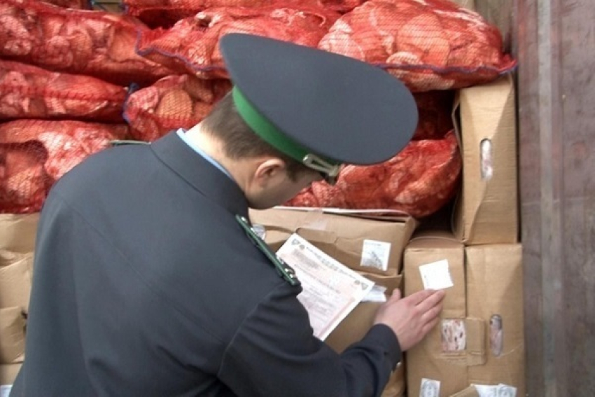 В Воронежской области снова борются с фальсификацией продовольственных продуктов