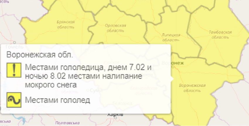 Желтый уровень опасности установили из-за гололеда в Воронежской области
