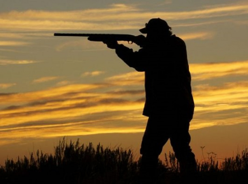 В Воронежской области появилась схема охотугодий