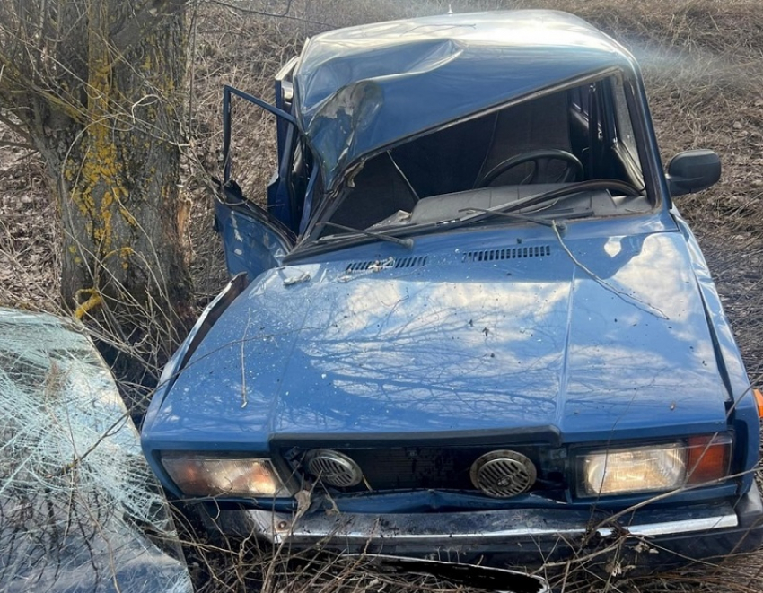 Пьяный несовершеннолетний водитель разбил машину об дерево в Грибановском районе