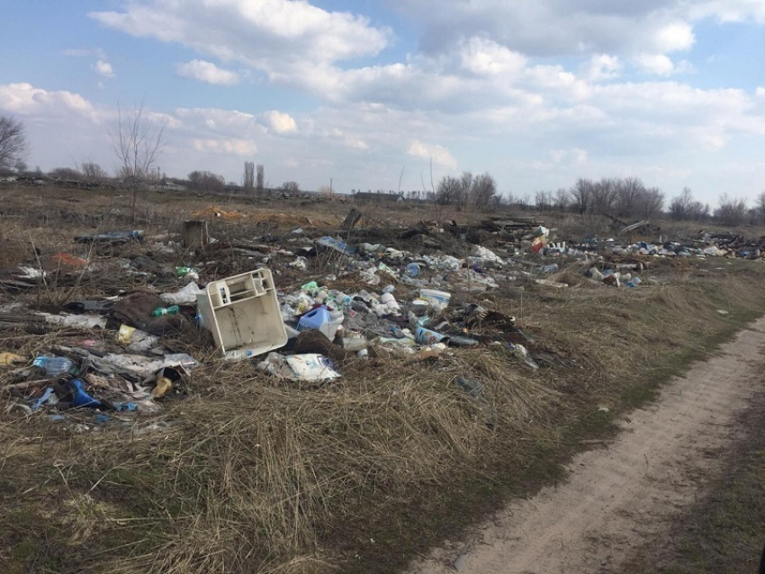 Очередную стихийную свалку сфотографировали под Борисоглебском
