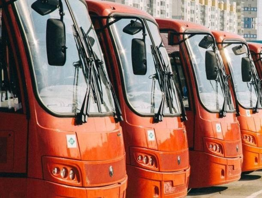 Воронежская область закупит оранжевые автобусы почти на 100 млн рублей