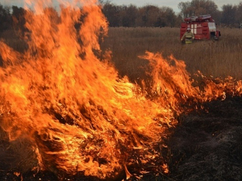 В Борисоглебске и соседних районах установился максимальный уровень пожарной опасности
