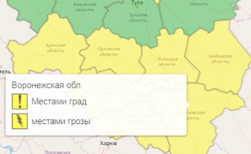 Из-за грозы и града в Воронежской области объявили желтый уровень опасности