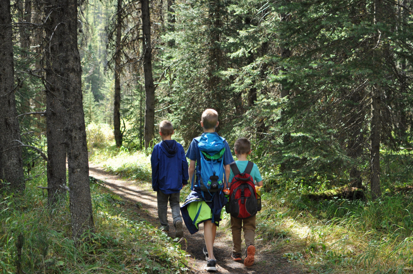 В Воронежской области трое детей заблудились в лесу: помог лесничий
