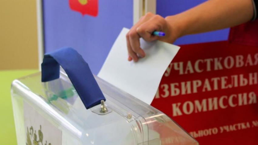С 8 сентября в Воронежской области начали свою работу участковые избирательные комиссии