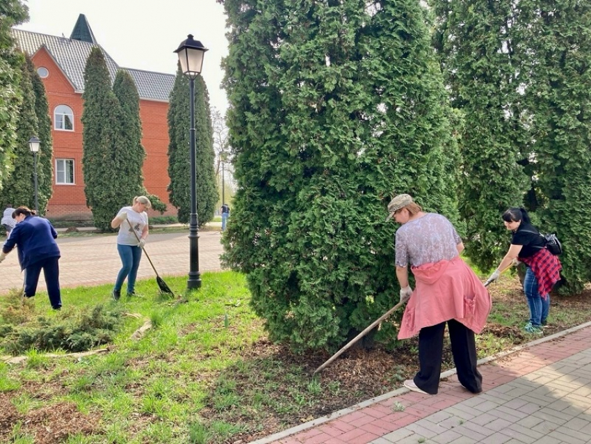 Борисоглебцев позвали на общегородской субботник