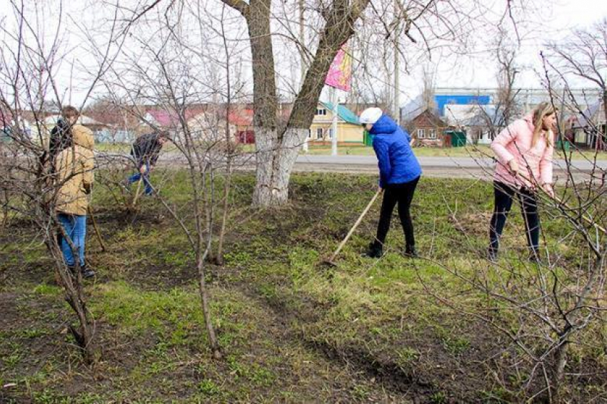 Ученики средней школы №13 г. Борисоглебска помогли одинокой пенсионерке