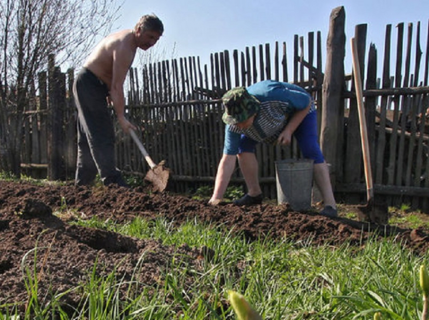 В этом году жителей Воронежской области ждут самые короткие майские праздники