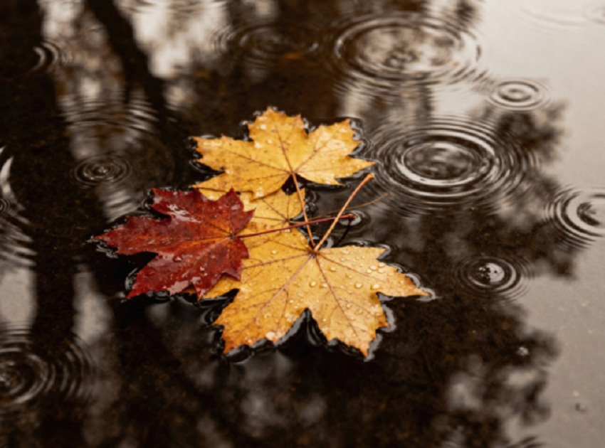 Автомобилистов призвали к осторожности в связи с ухудшением погодных условий в Воронежской области