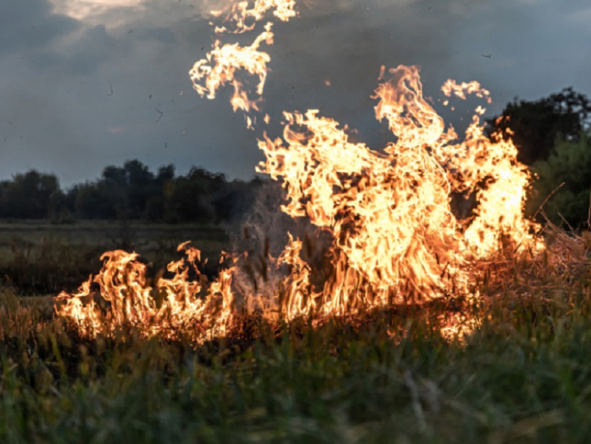 В Воронежской области отменили особый противопожарный режим