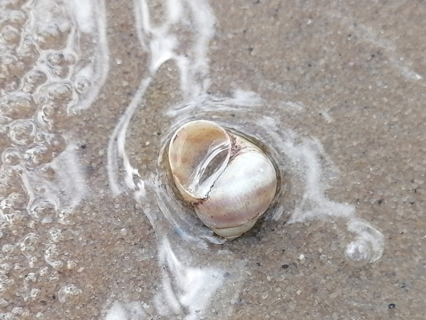 Начало недели не принесет борисоглебцам избавления от жары